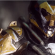 Image for article titled One Year Later, Did Microsoft Keep Its E3 2017 Promises?